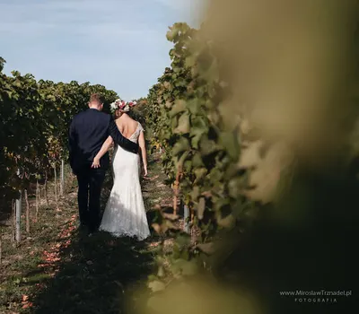 Mirosław Trznadel Fotografia Ślubna